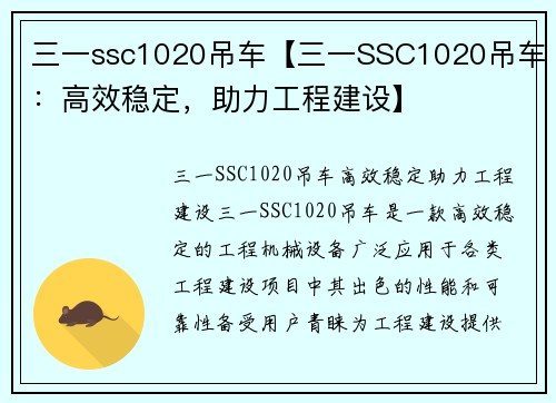 三一ssc1020吊车【三一SSC1020吊车：高效稳定，助力工程建设】